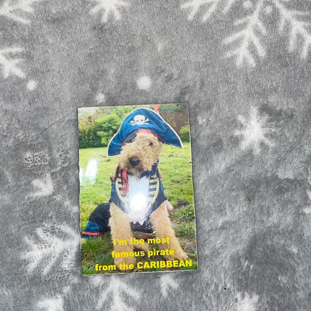 Refrigerator Magnet